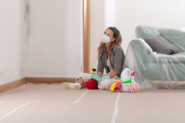 Reliable Mold Remediation contractor in St. Peter, MN by 24 Hour Mold Removal